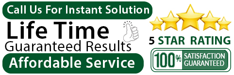 logo2